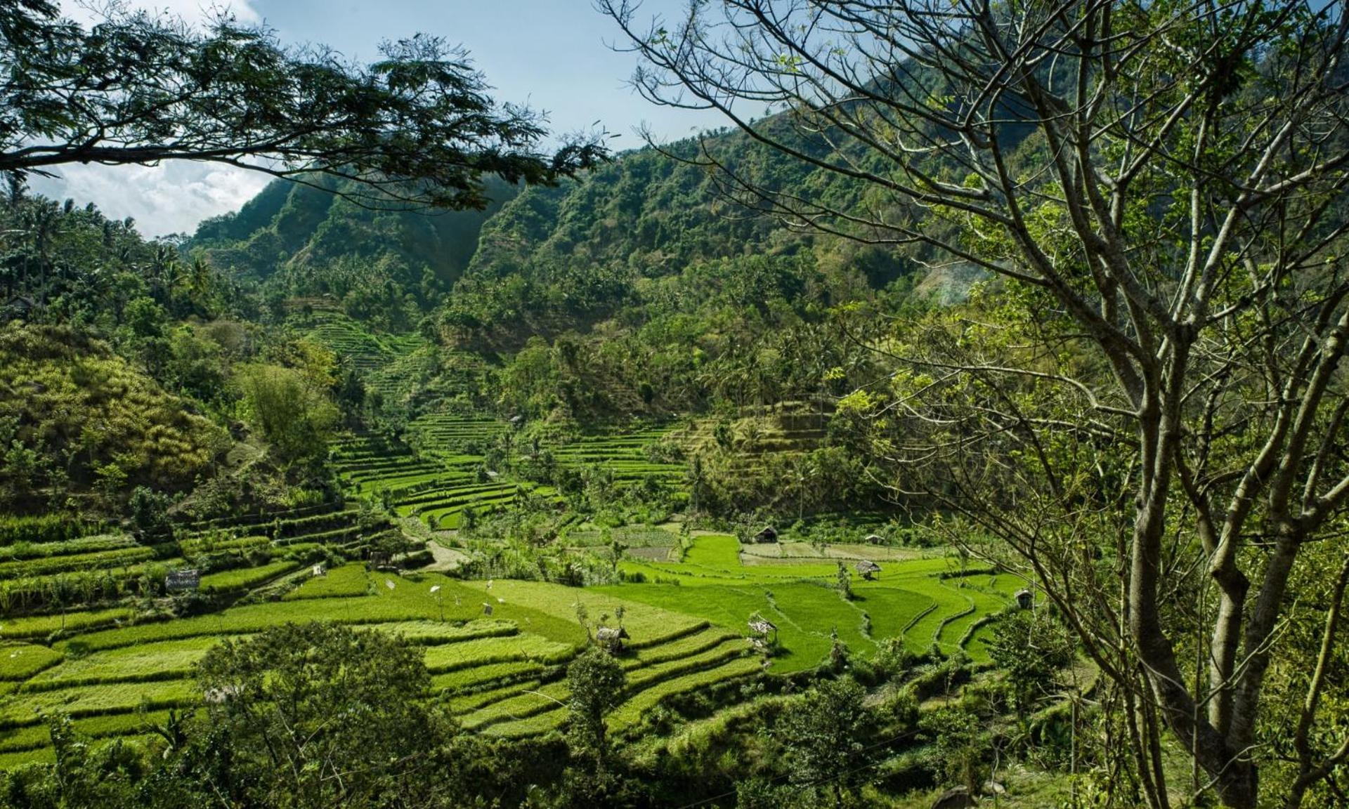 Retreat Villa Toraja Baturinggit クブ エクステリア 写真